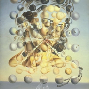 il Dalí