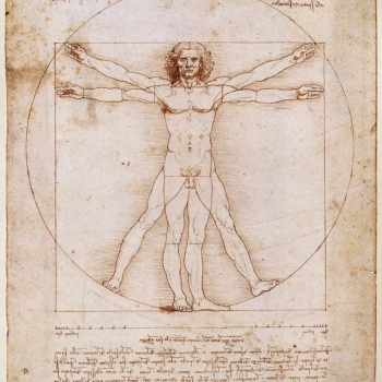 il Da Vinci